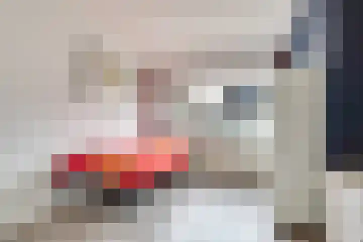 Tholen 51 Utrecht thumbnail 22