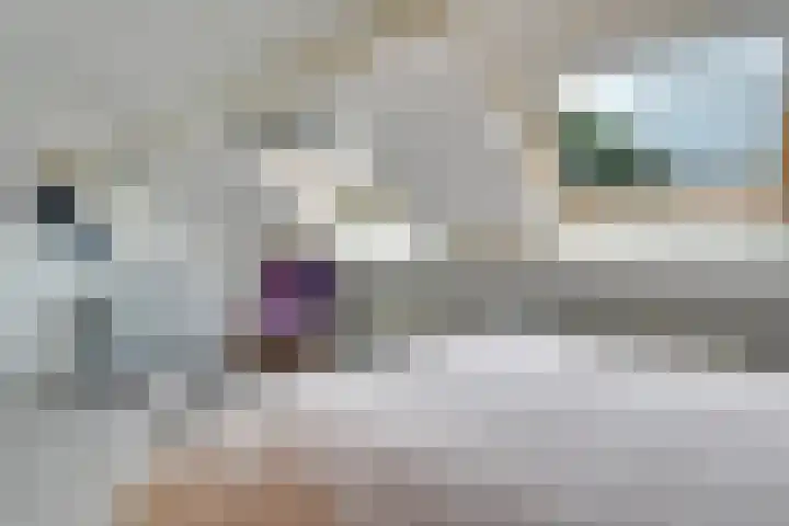 Tholen 51 Utrecht thumbnail 32