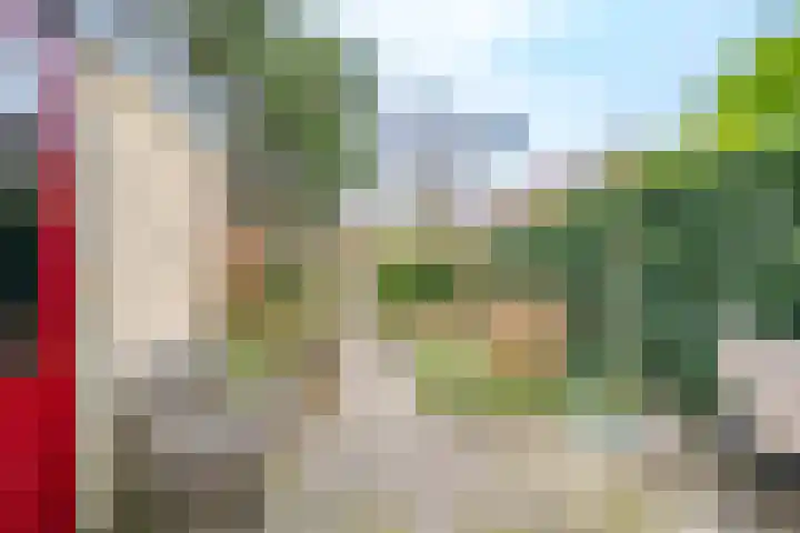 Tholen 51 Utrecht thumbnail 36