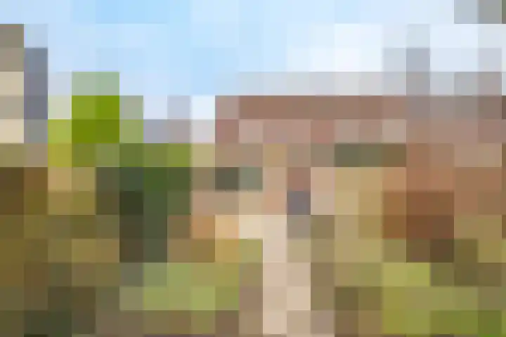 Tholen 51 Utrecht thumbnail 37