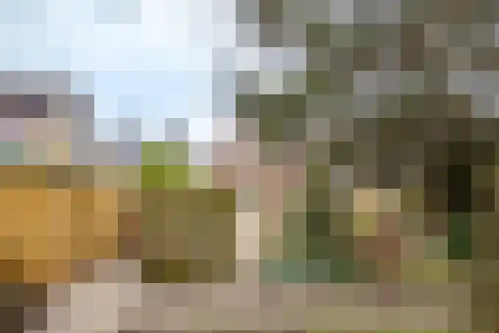 Tholen 51 Utrecht thumbnail 39