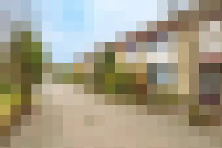 Tholen 51 Utrecht thumbnail 40