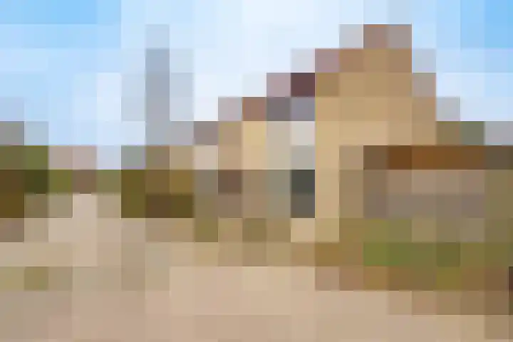 Tholen 51 Utrecht thumbnail 41