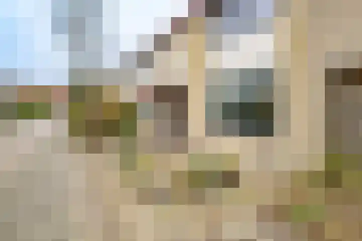 Tholen 51 Utrecht thumbnail 42