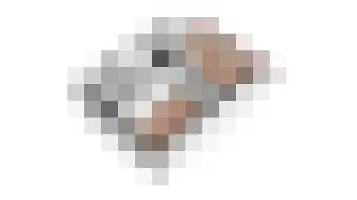 Tholen 51 Utrecht thumbnail 47