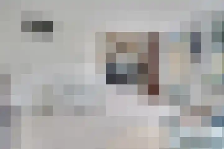 Tholen 51 Utrecht thumbnail 9