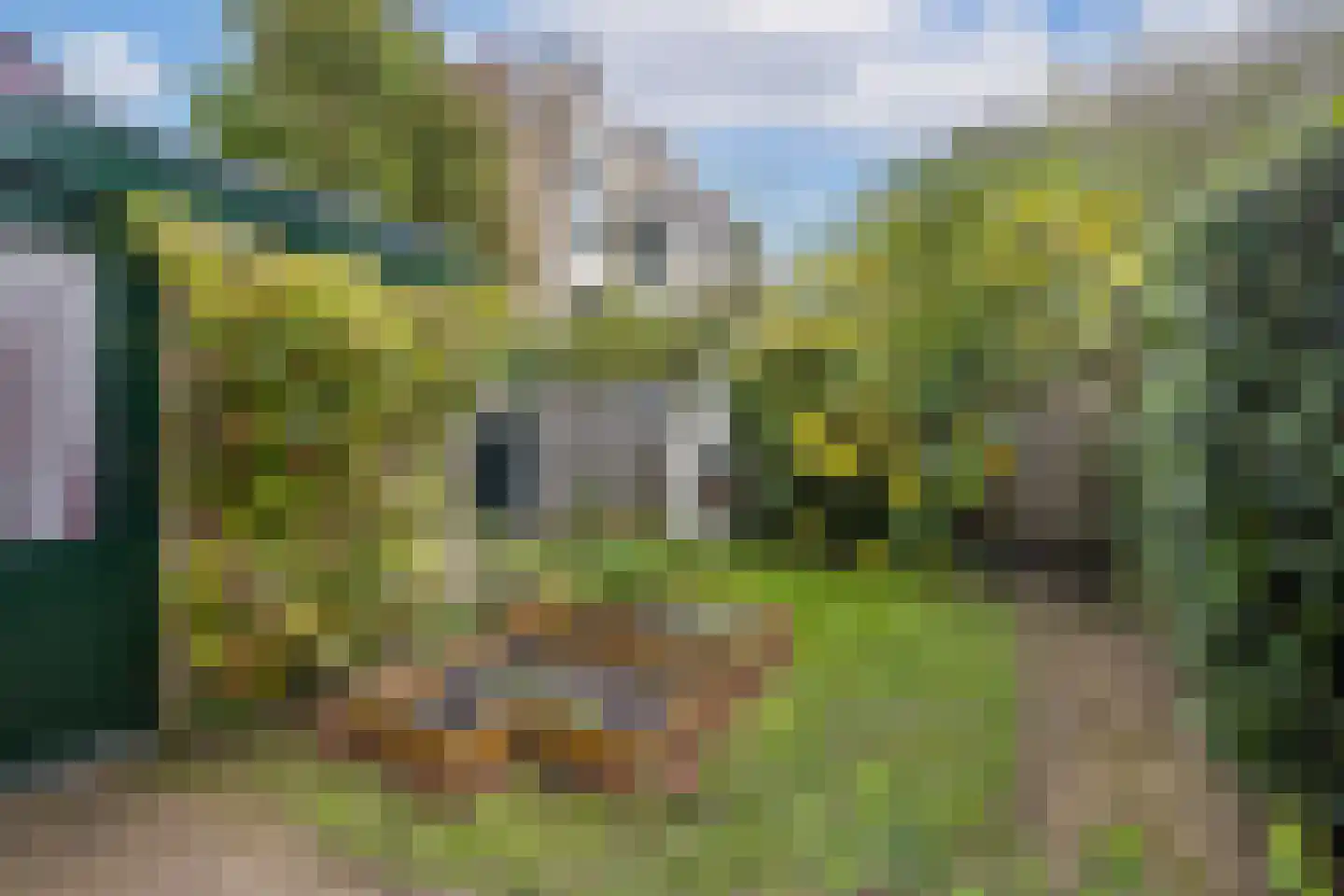 Tholen 59 Utrecht thumbnail 11