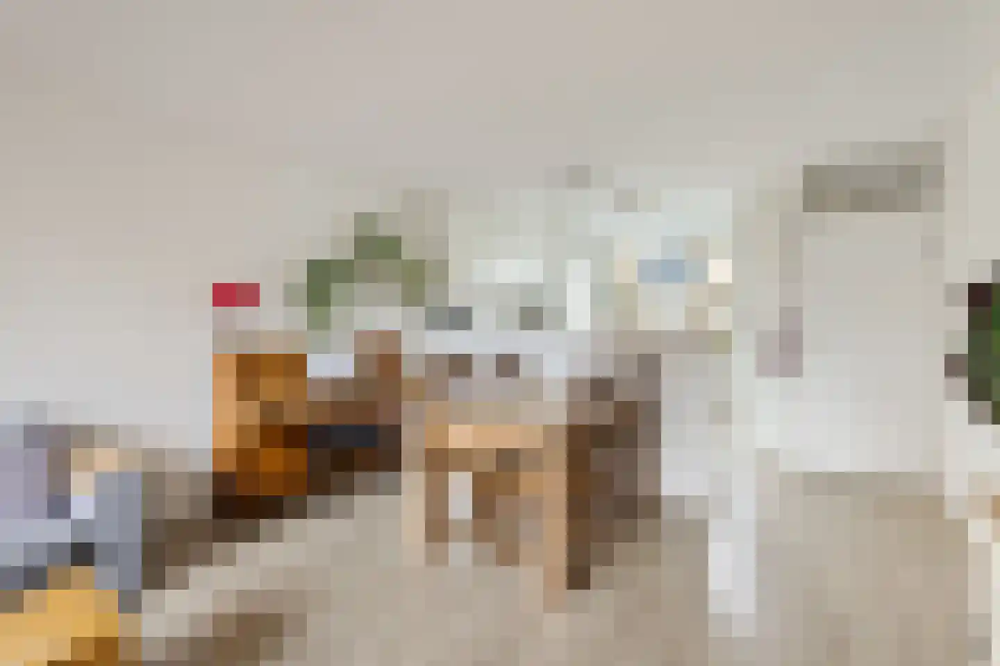 Tholen 59 Utrecht thumbnail 18