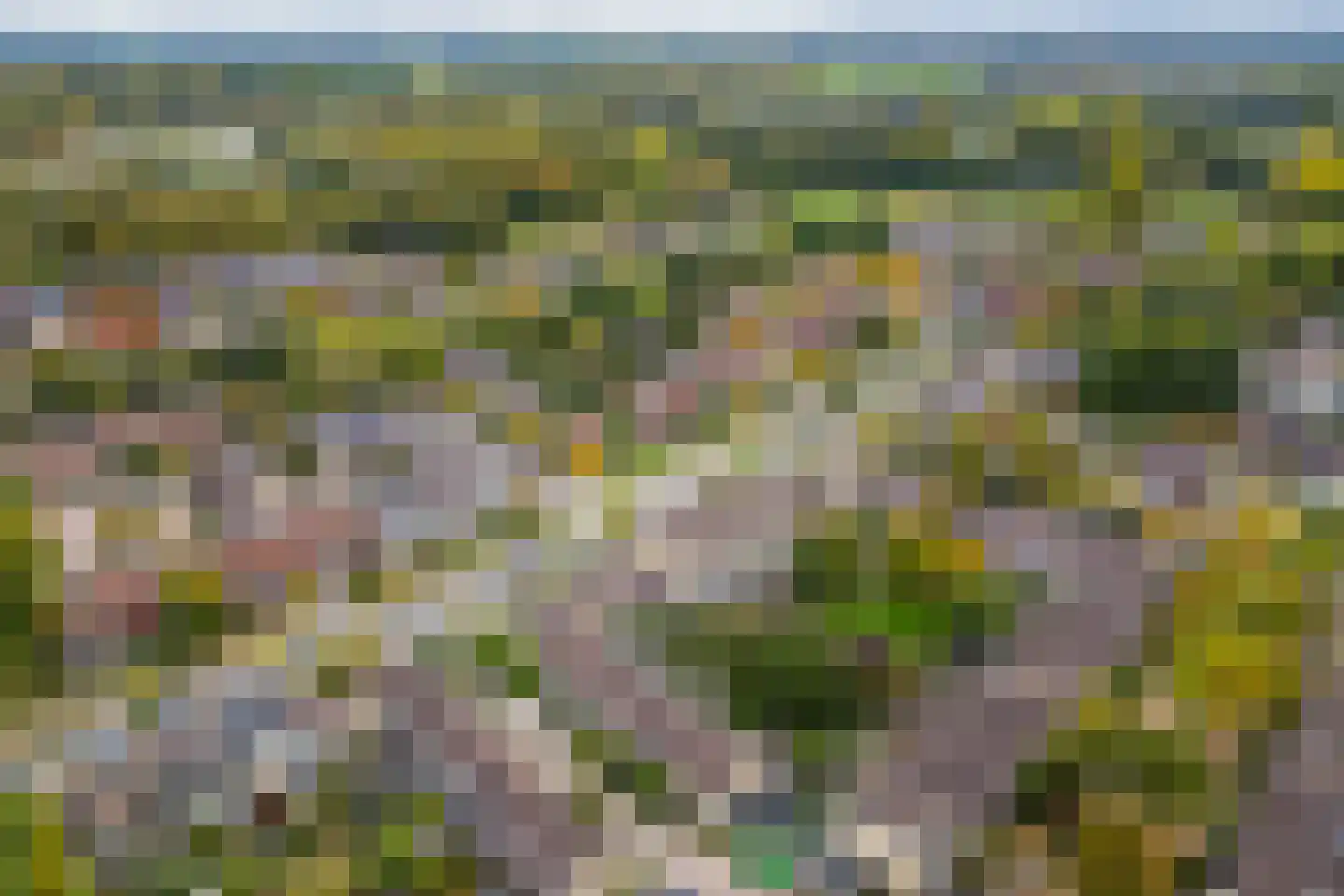Tholen 59 Utrecht thumbnail 38