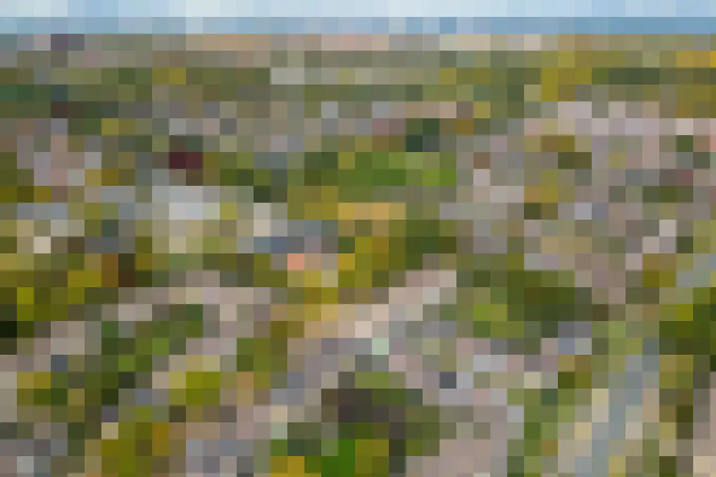 Tholen 59 Utrecht thumbnail 39