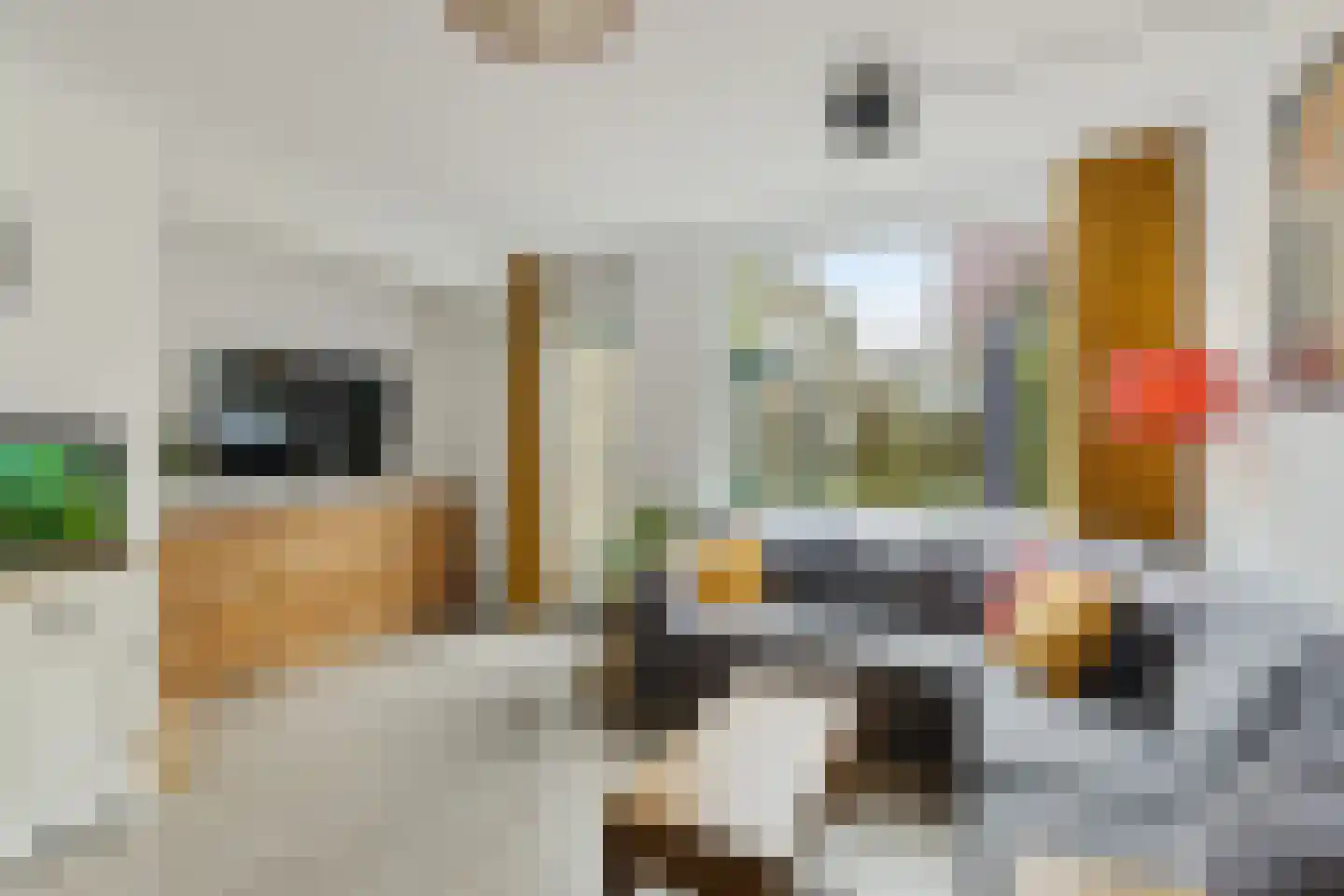 Tholen 59 Utrecht thumbnail 9