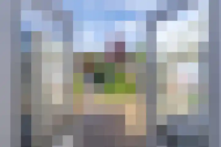 Tholen 8 Emmeloord thumbnail 12
