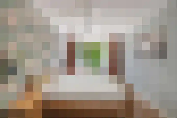 Tholen 8 Emmeloord thumbnail 19