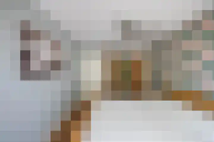 Tholen 8 Emmeloord thumbnail 20
