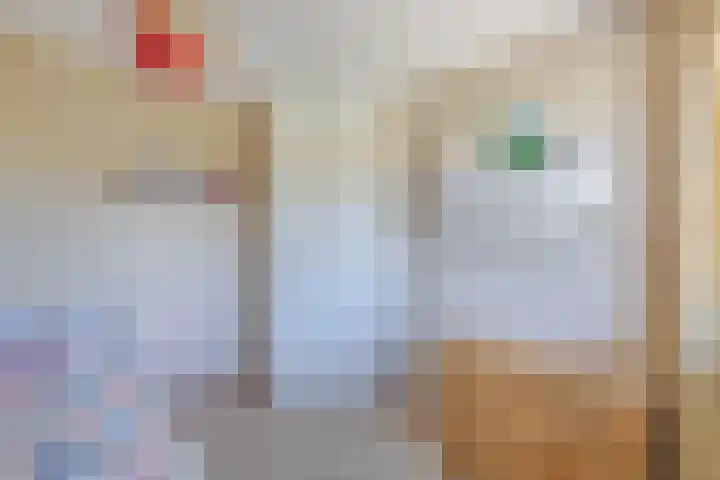 Tholen 8 Emmeloord thumbnail 22
