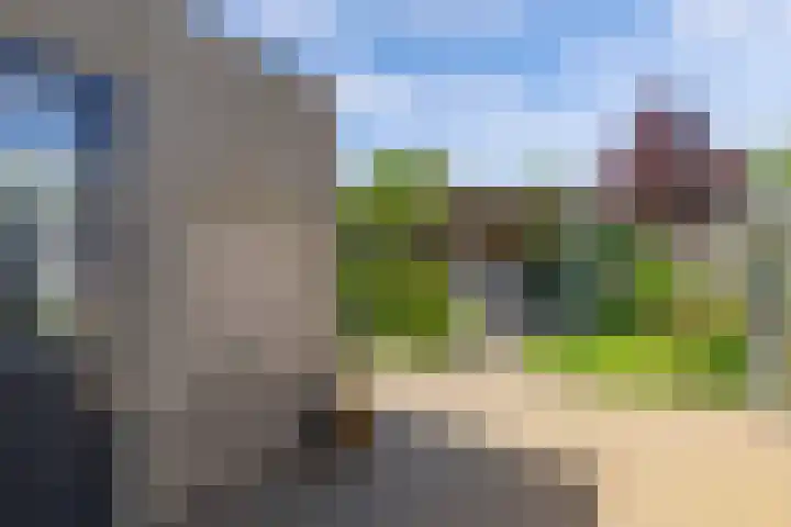 Tholen 8 Emmeloord thumbnail 29