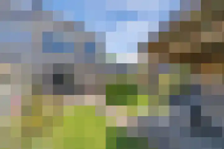 Tholen 8 Emmeloord thumbnail 31
