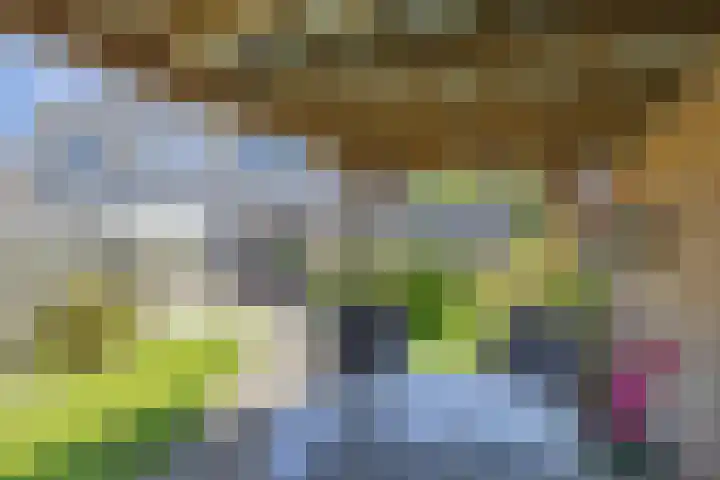 Tholen 8 Emmeloord thumbnail 33