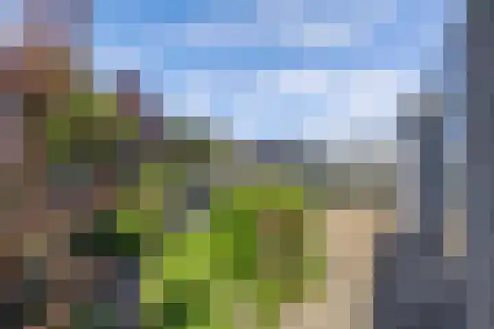 Tholen 8 Emmeloord thumbnail 34