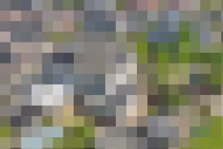 Tholen 8 Emmeloord thumbnail 4