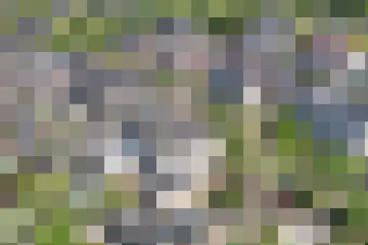 Tholen 8 Emmeloord thumbnail 42
