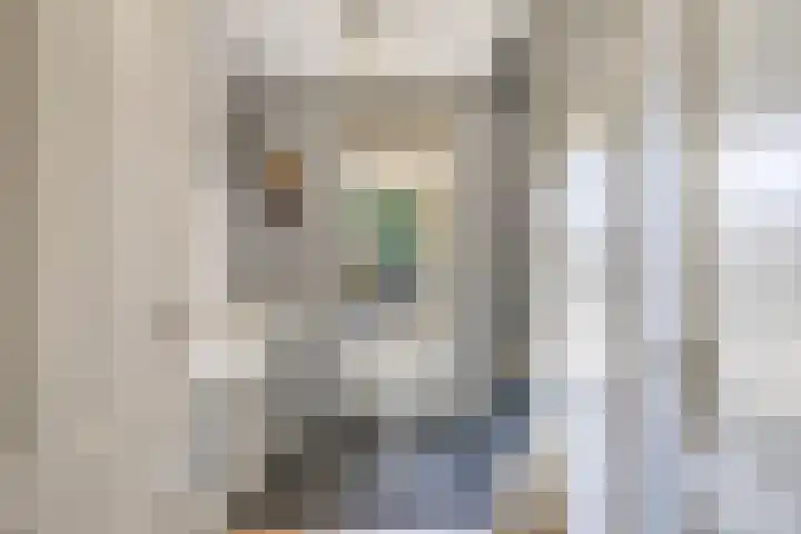 Tholen 8 Emmeloord thumbnail 5