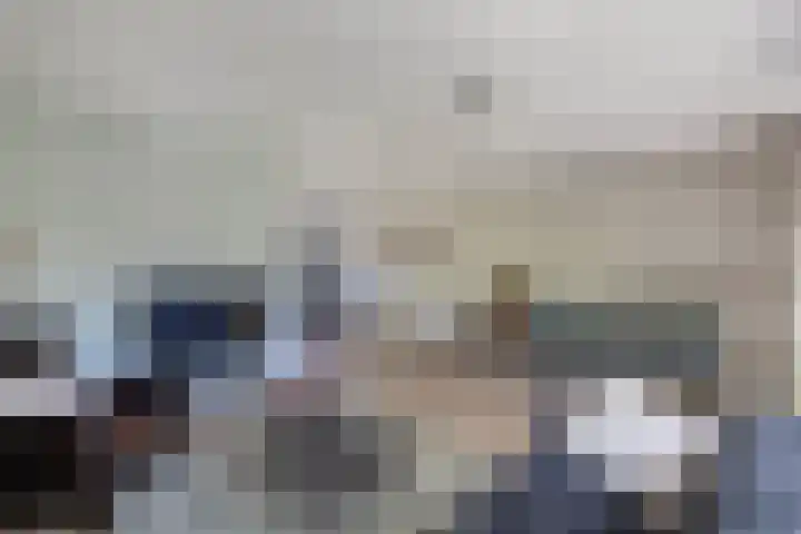 Tholen 8 Emmeloord thumbnail 8