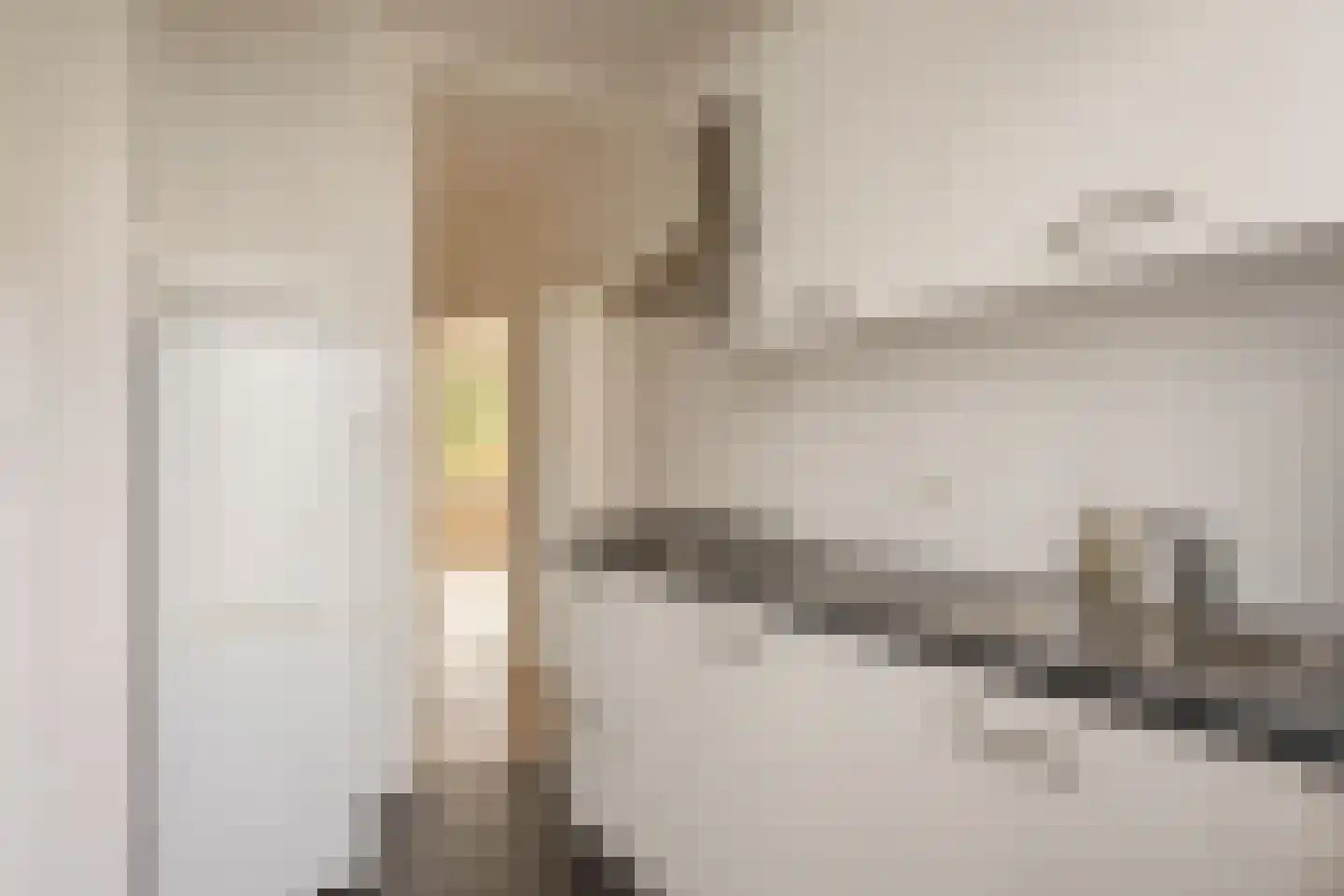 Tholensestraat 125 Den Haag thumbnail 19