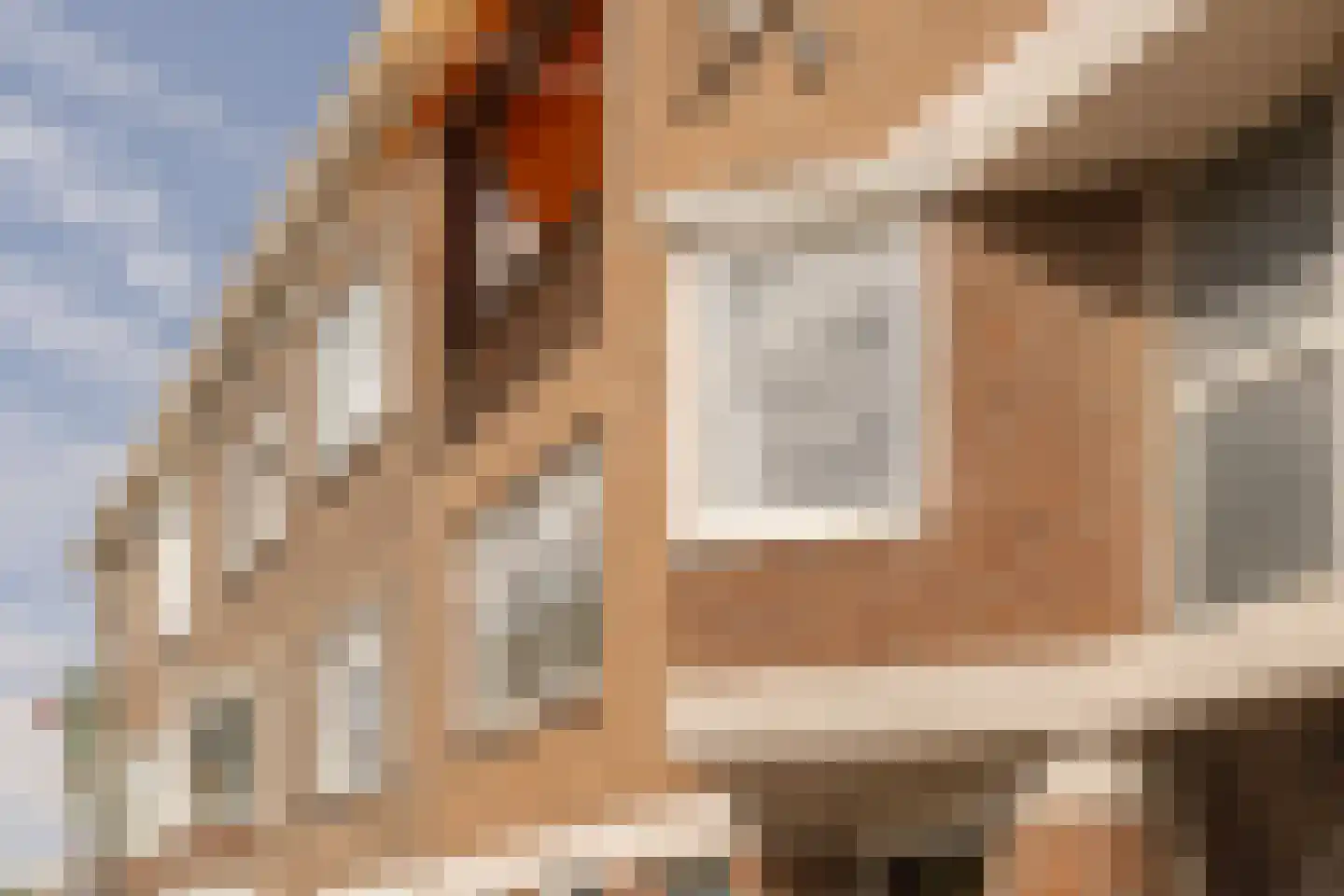 Tholensestraat 125 Den Haag thumbnail 4
