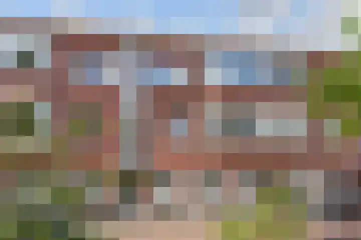 Tholensestraat 161 in Den Haag