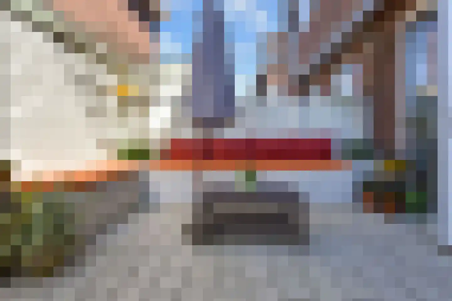 Tholensestraat 43 Den Haag thumbnail 28