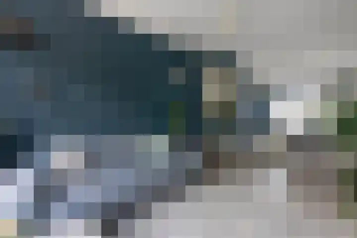 Tholensestraat 75 Den Haag thumbnail 8