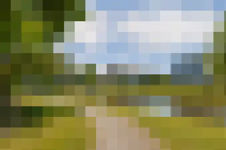 Tholenseweg 12 Amstelveen thumbnail 20