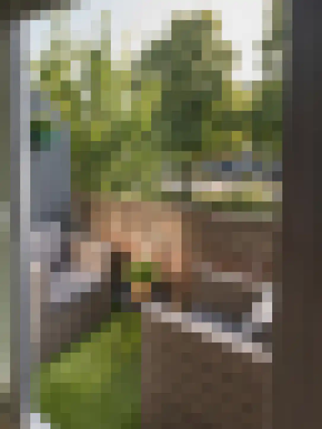 Tholenseweg 22 Amstelveen thumbnail 13