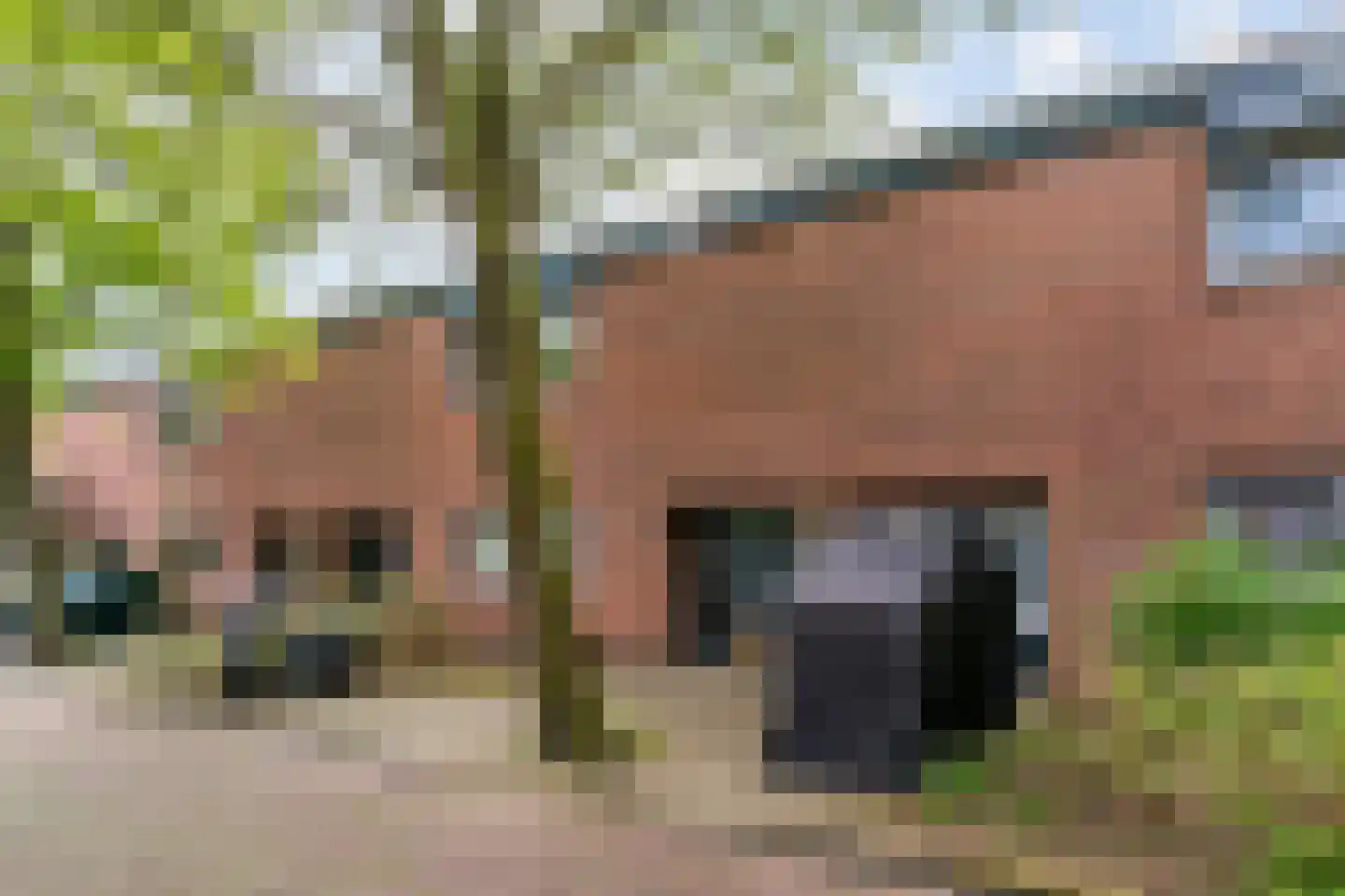 Tholenseweg 22 Amstelveen thumbnail 20