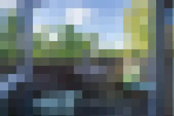 Tholenseweg 40 A Amstelveen thumbnail 11