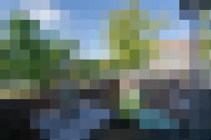 Tholenseweg 40 A Amstelveen thumbnail 12