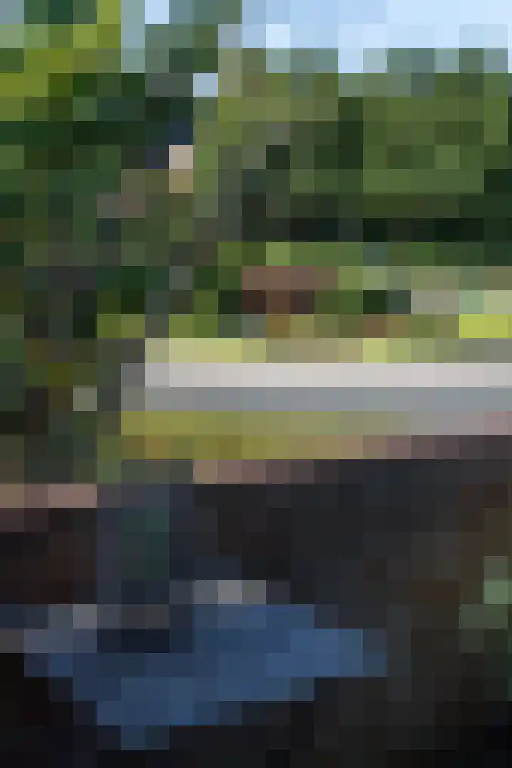 Tholenseweg 40 A Amstelveen thumbnail 14