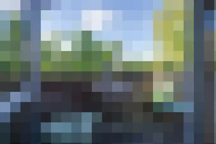 Tholenseweg 40 A Amstelveen thumbnail 4