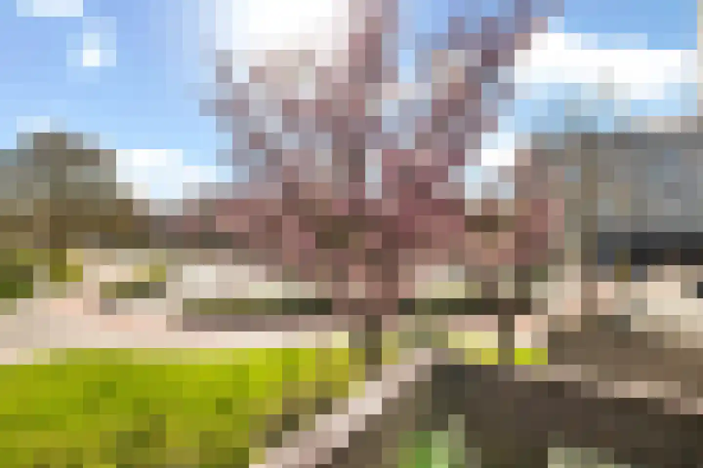 Tholenseweg 46 Amstelveen thumbnail 20
