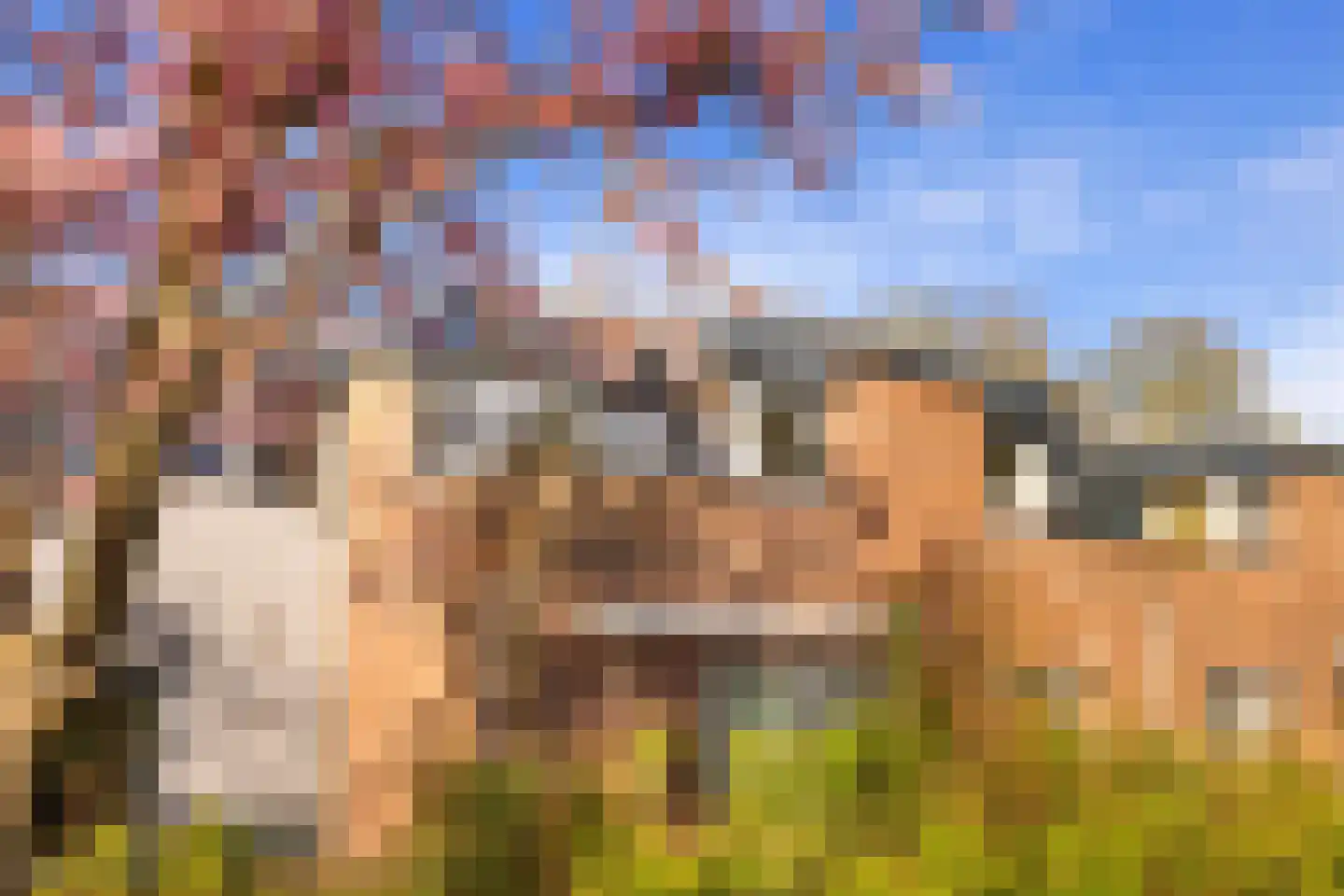 Tholenseweg 46 Amstelveen thumbnail 36