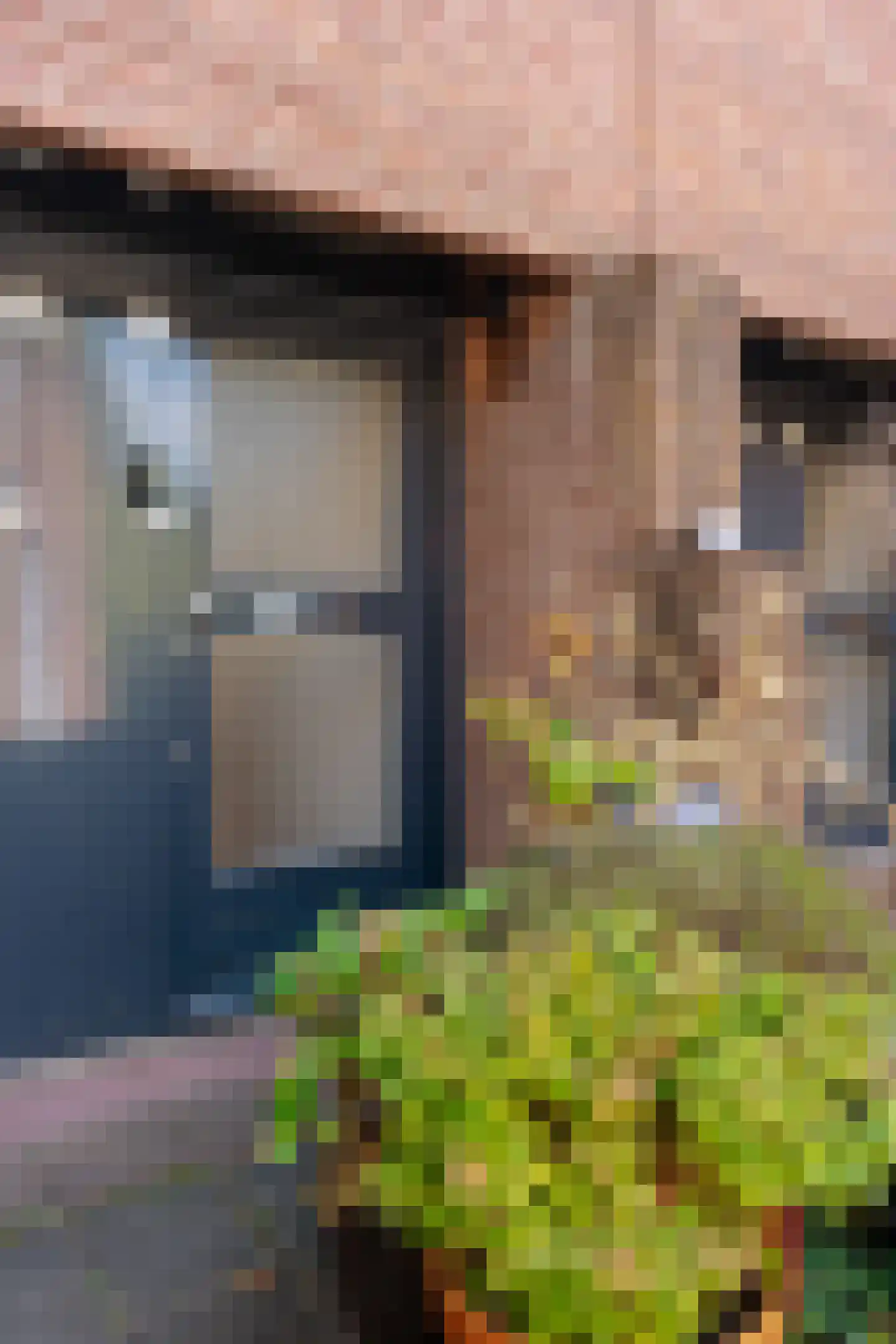 Tholenseweg 48 Amstelveen thumbnail 20