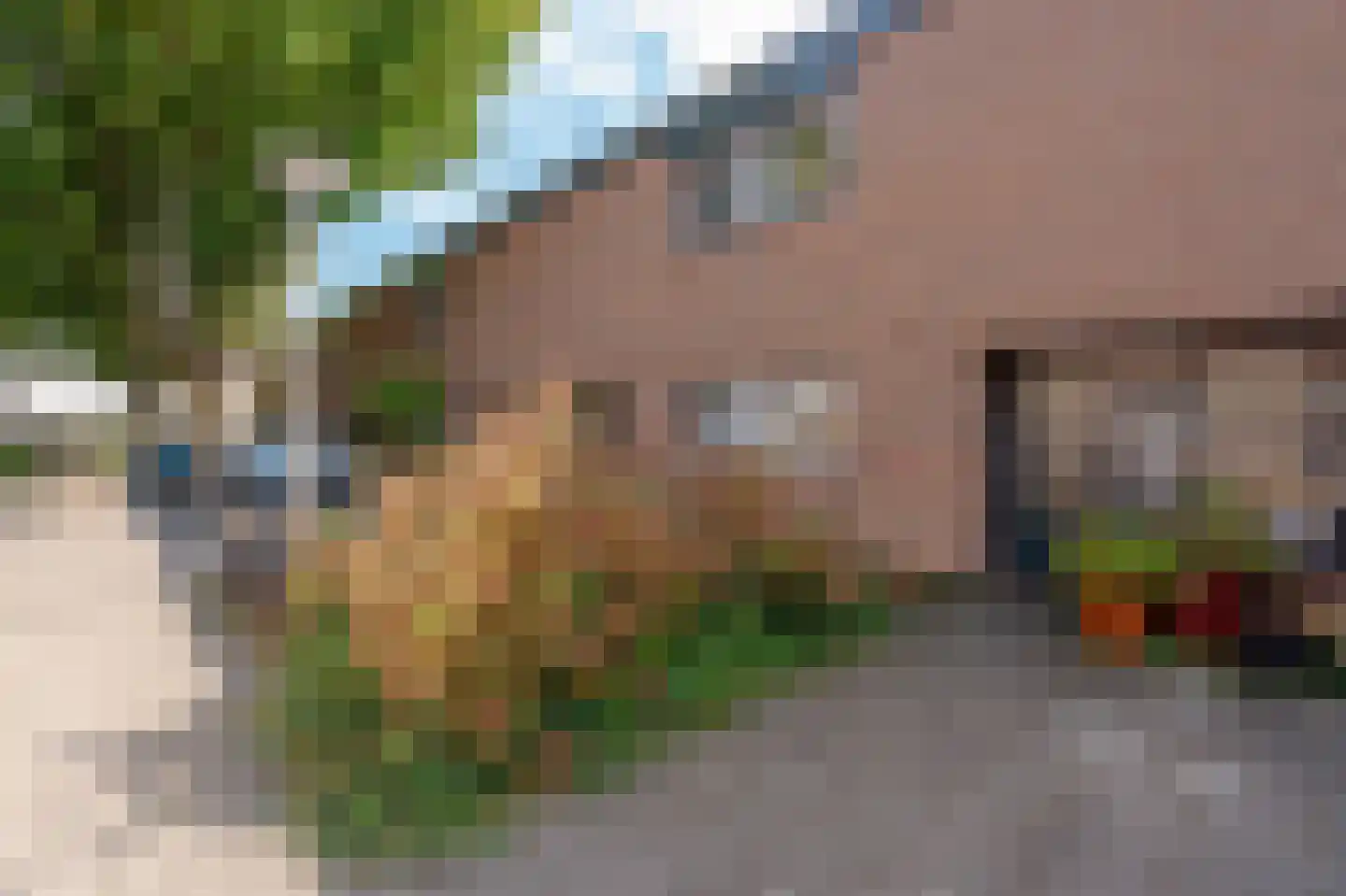 Tholenseweg 48 Amstelveen thumbnail 22