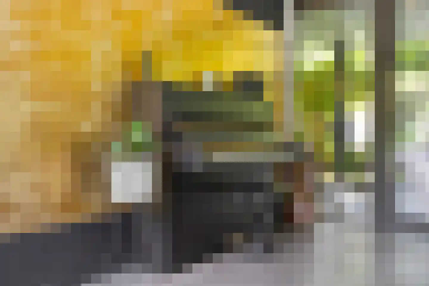 Tholenseweg 6 Halsteren thumbnail 18