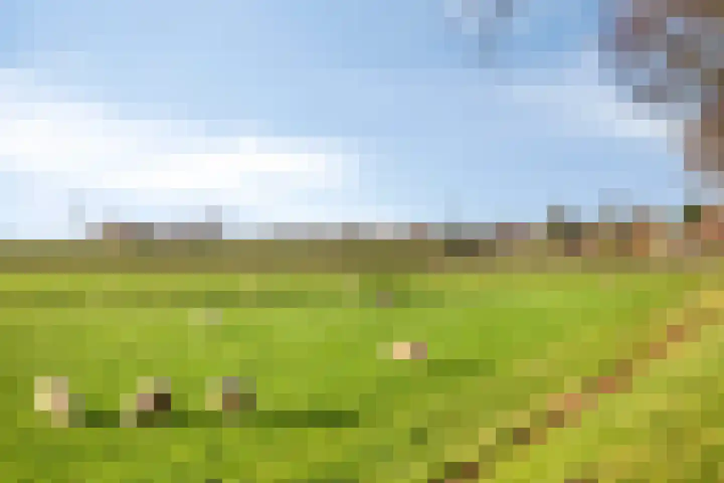 Tholenseweg 6 Halsteren thumbnail 51