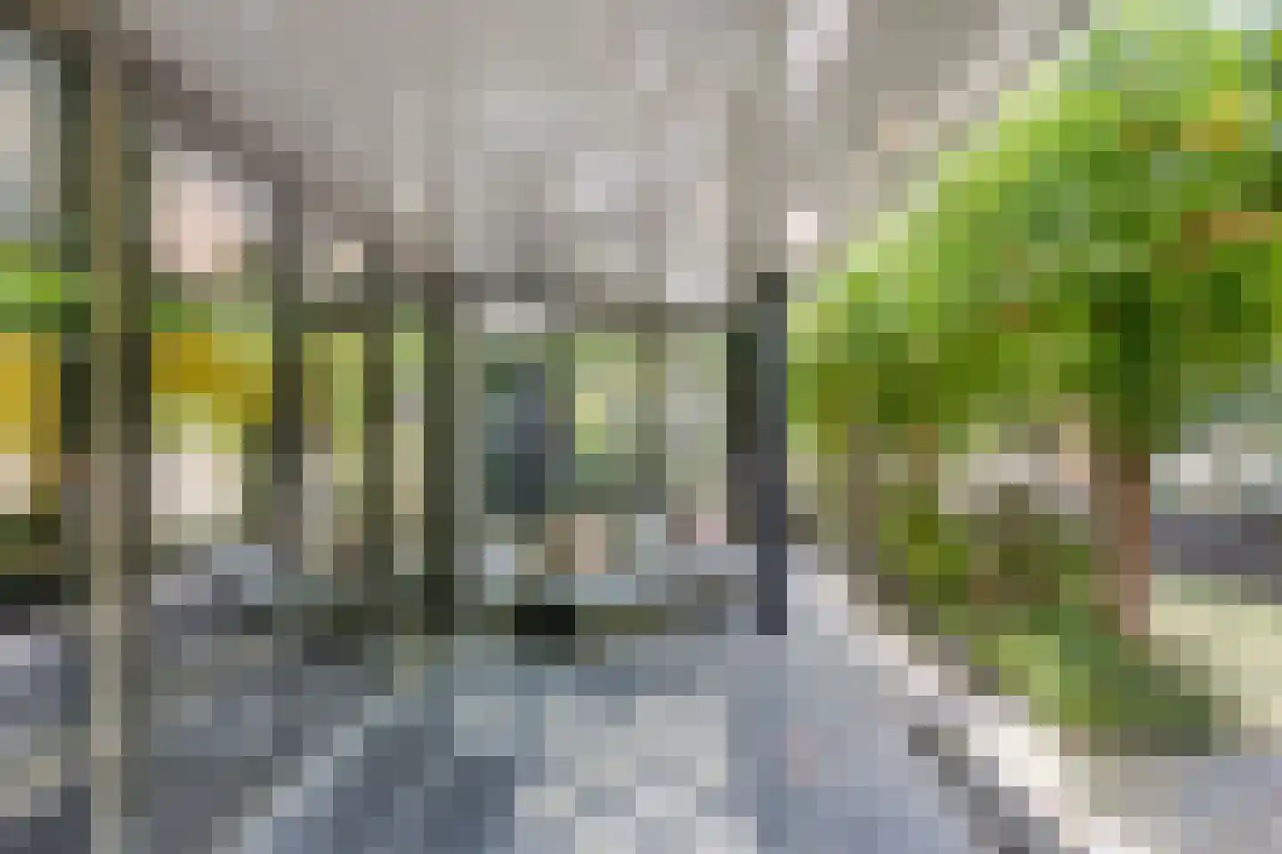 Tholenseweg 6 Halsteren thumbnail 59