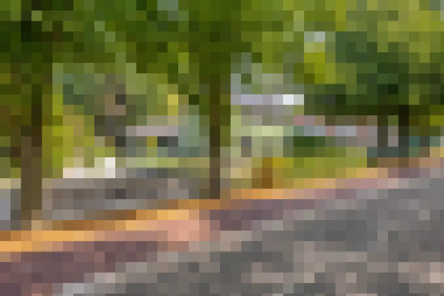 Tholenseweg 6 Halsteren thumbnail 6