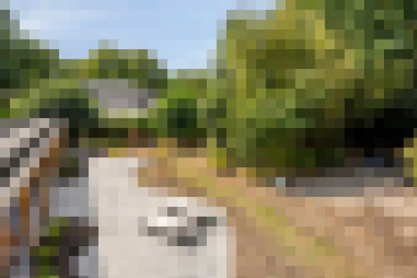 Tholenseweg 6 Halsteren thumbnail 61