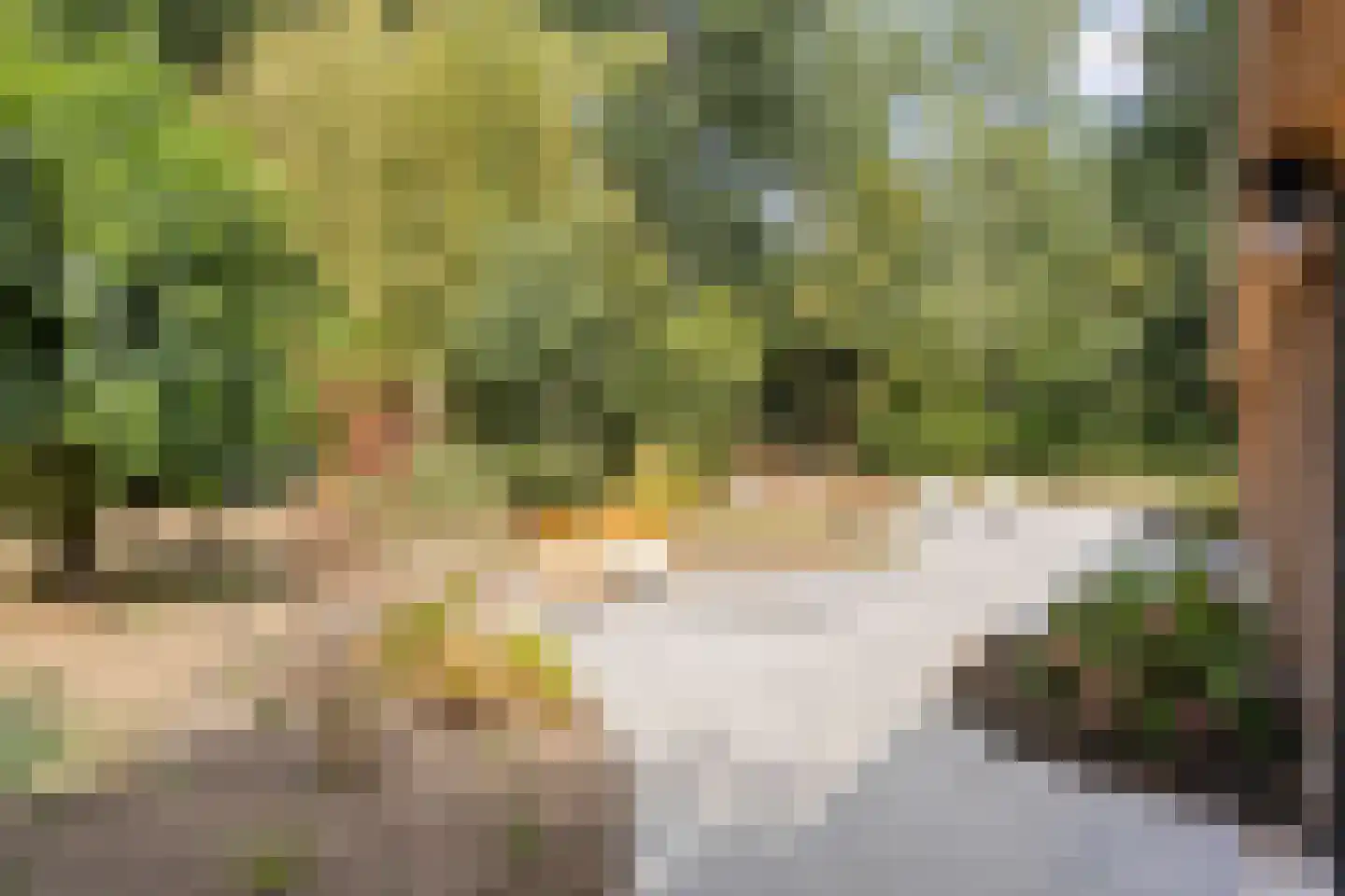 Tholenseweg 6 Halsteren thumbnail 63