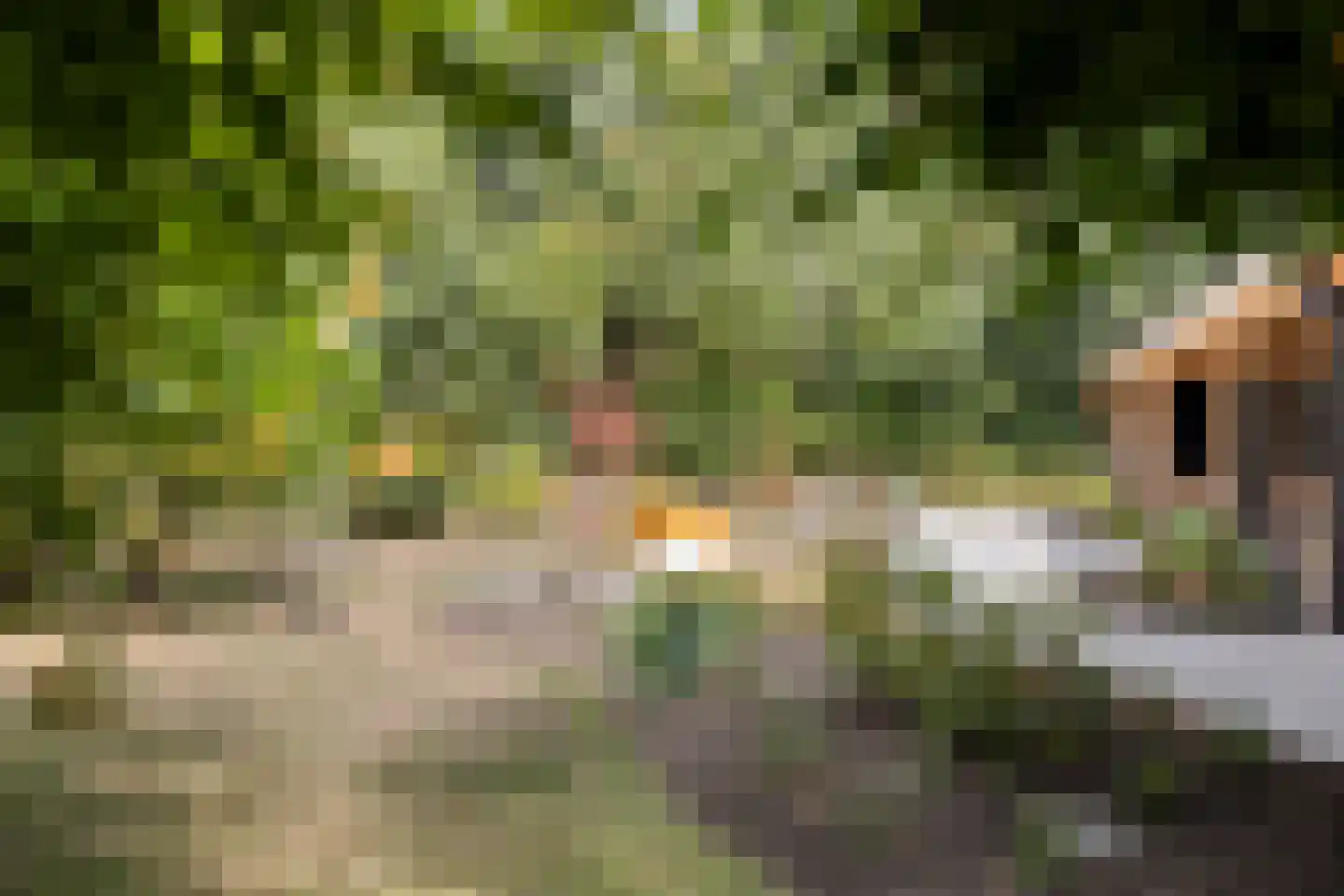 Tholenseweg 6 Halsteren thumbnail 64